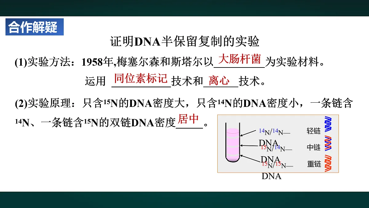 18005342第7页