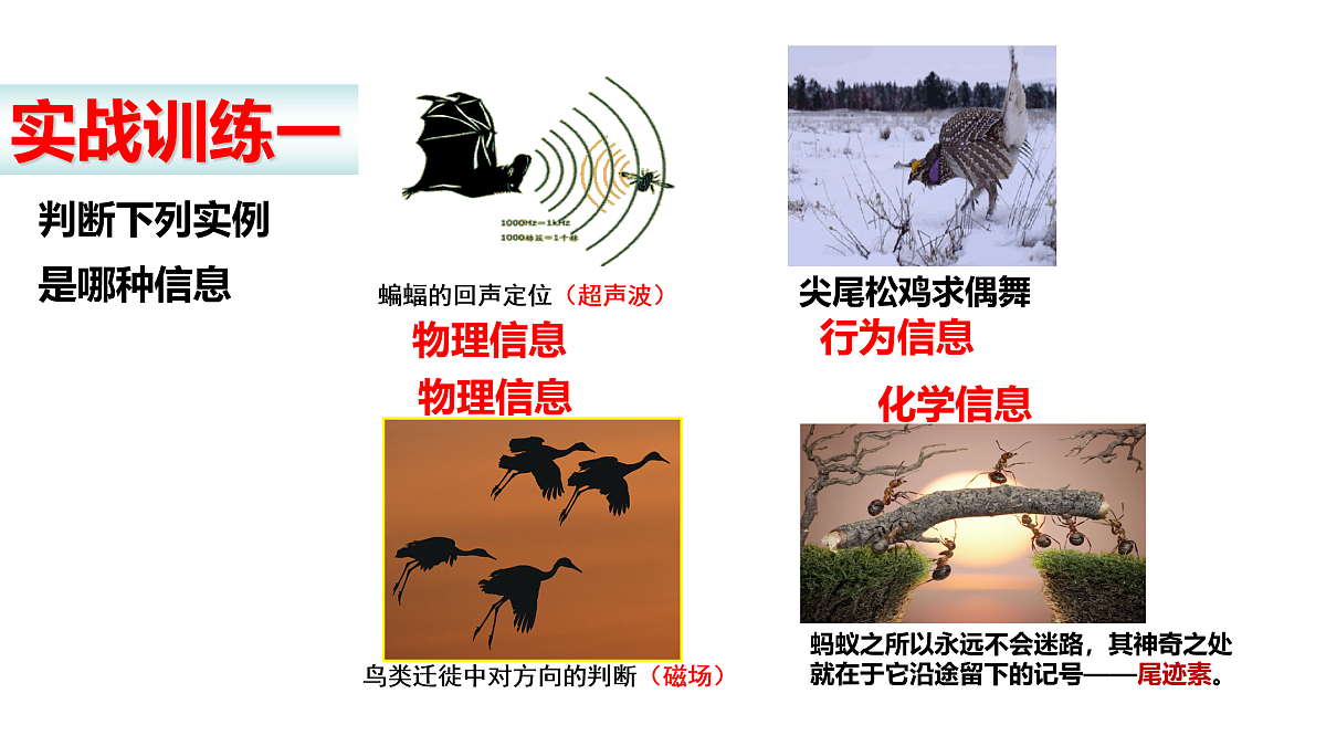 18005353第5页