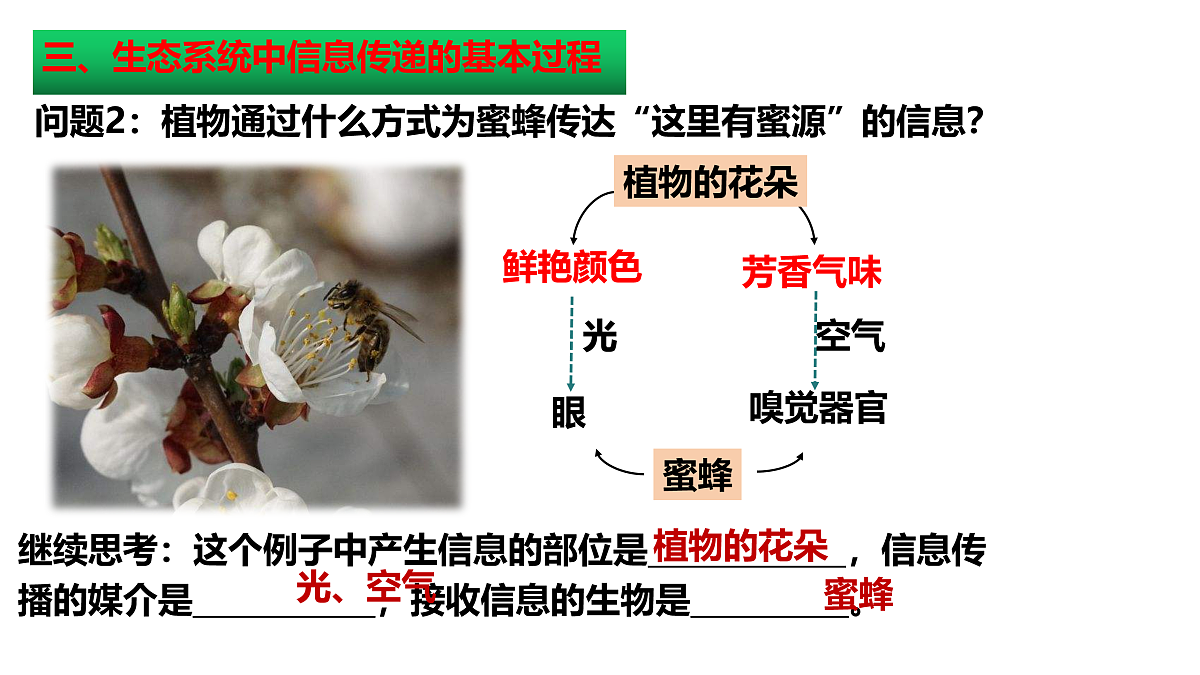 18005353第6页