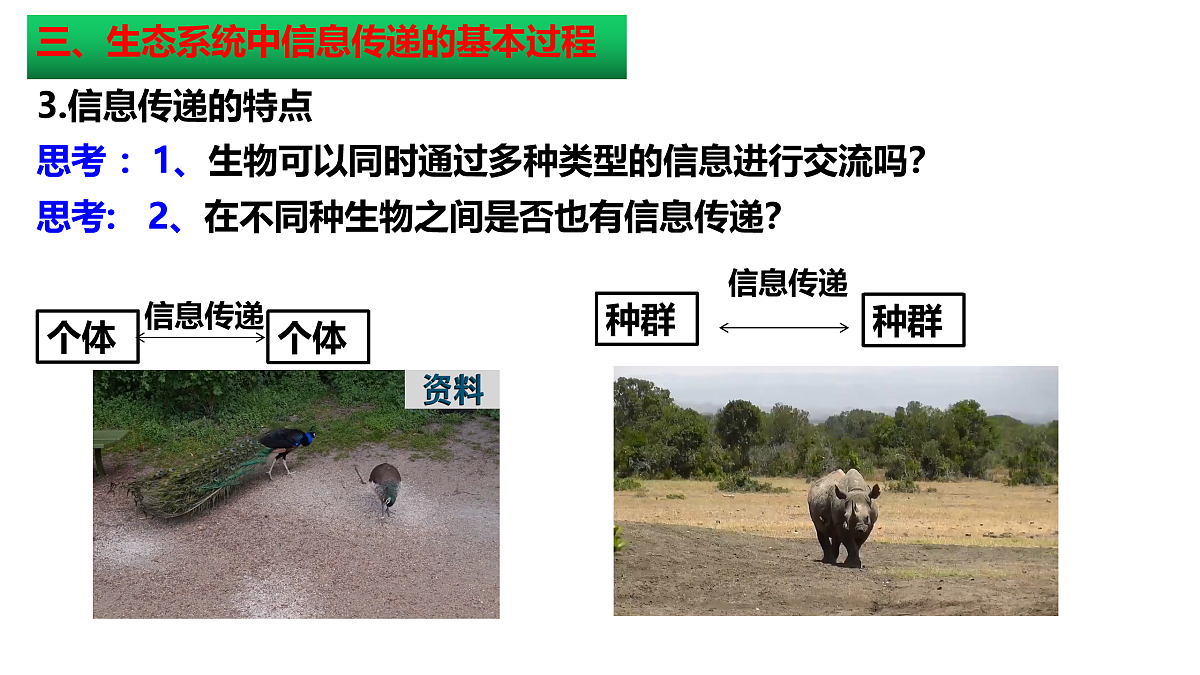 18005353第8页