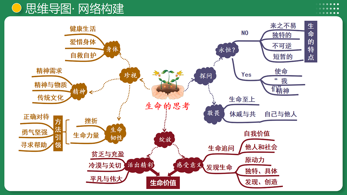 18007832第7页