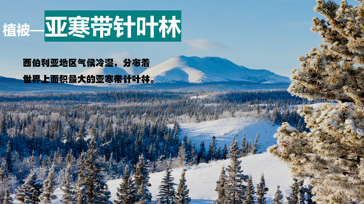 18008353第6页