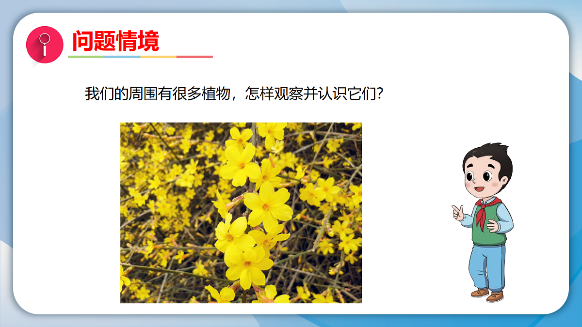 18009446第2页