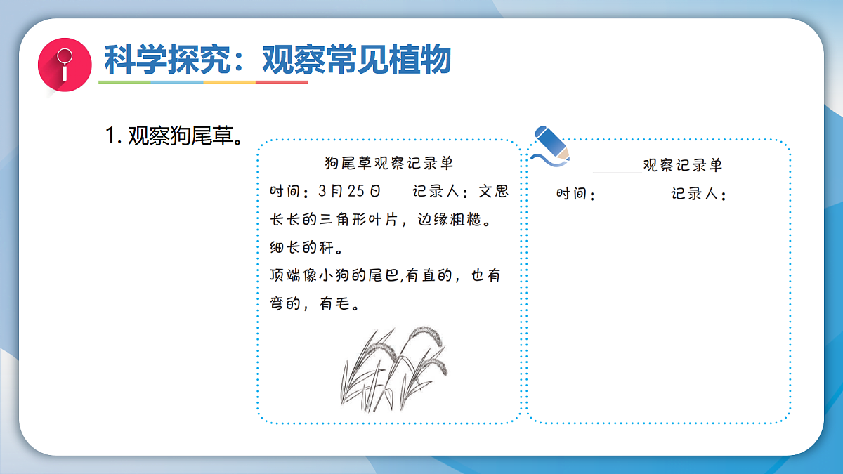 18009446第5页