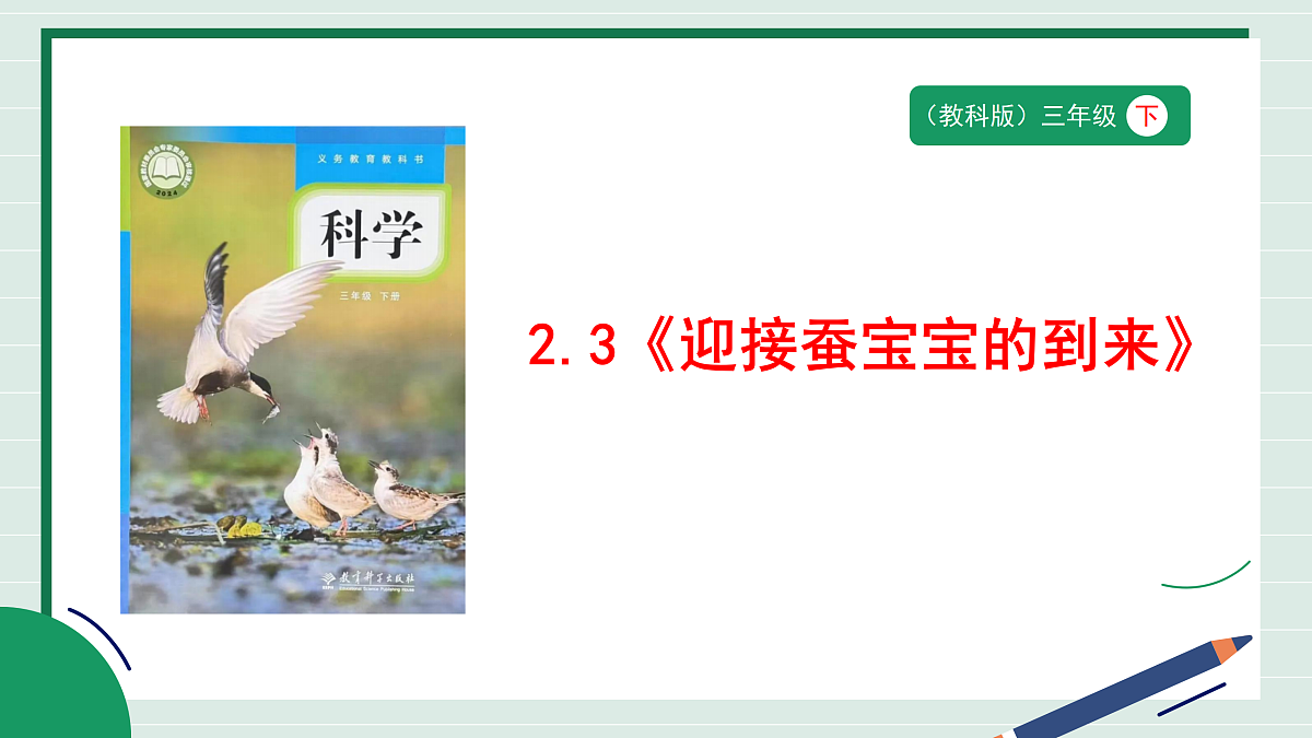 2.3《迎接蚕宝宝的到来》教学课件第1页