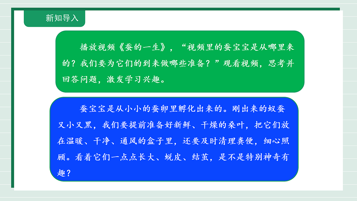 2.3《迎接蚕宝宝的到来》教学课件第3页