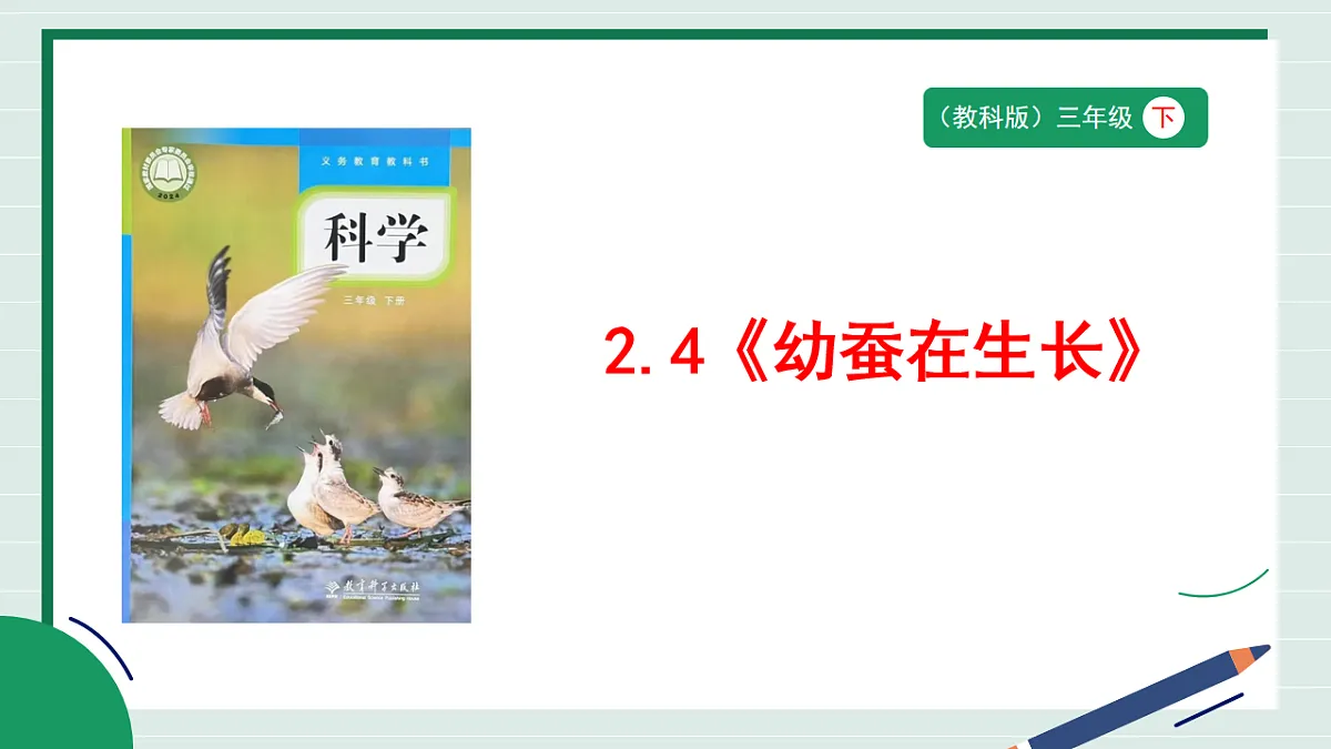 2.4《幼蚕在生长》教学课件第1页