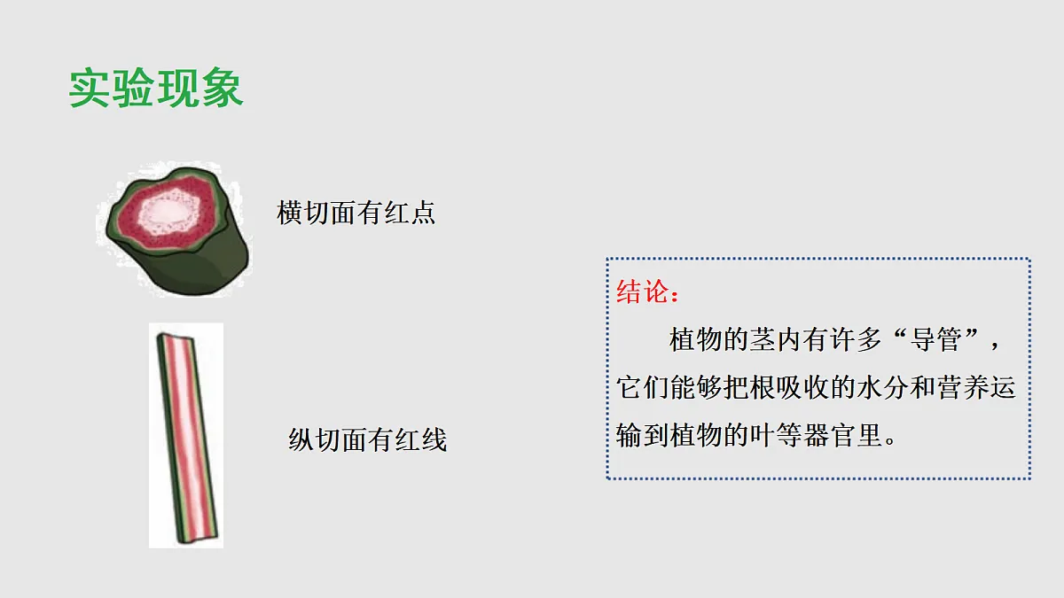 18013741第5页