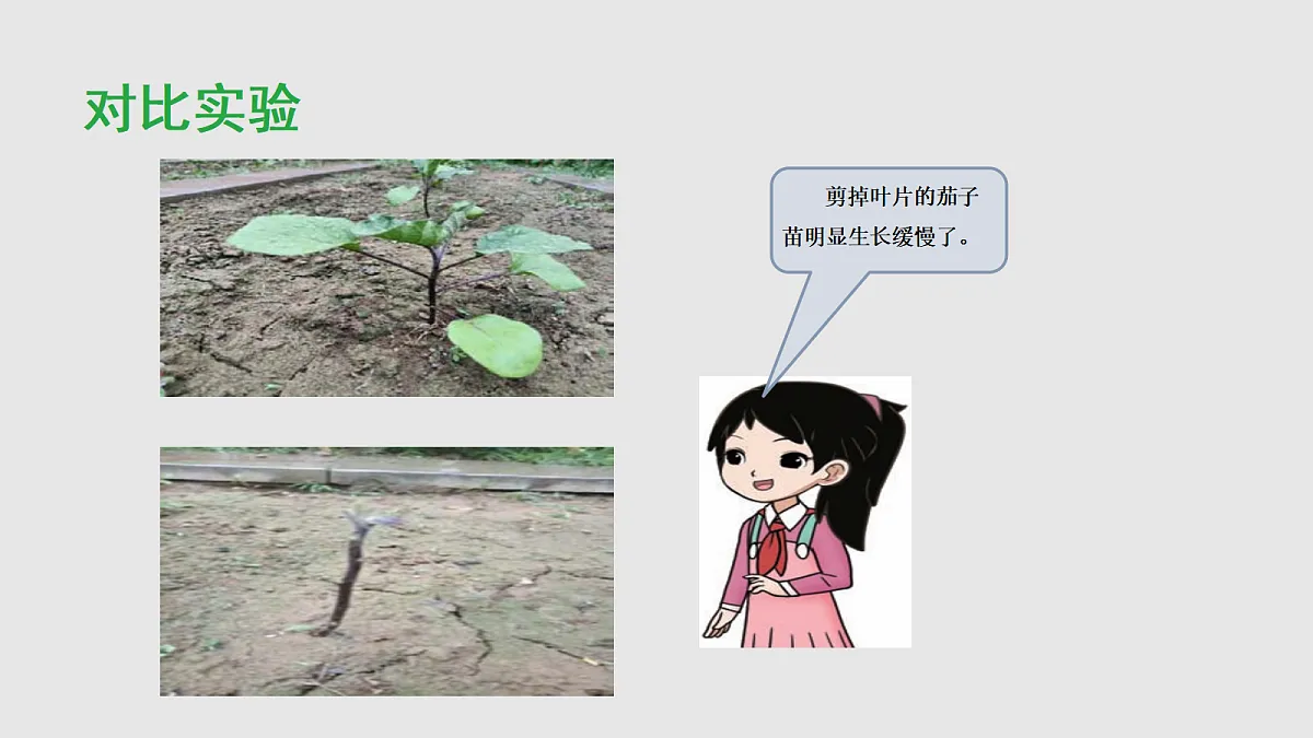 18013741第7页