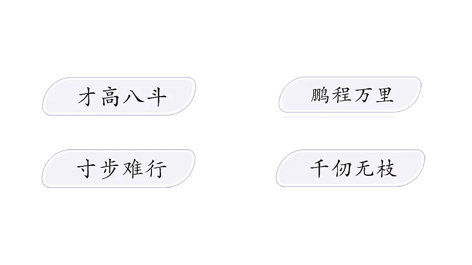 18016232第3页