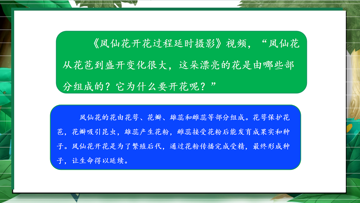 1.5《凤仙花开花了》教学课件第4页