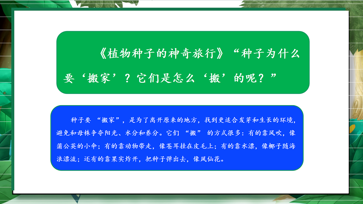 1.7《种子的传播》教学课件第4页