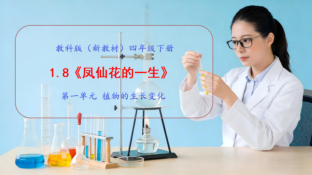 1.8《凤仙花的一生》教学课件第1页