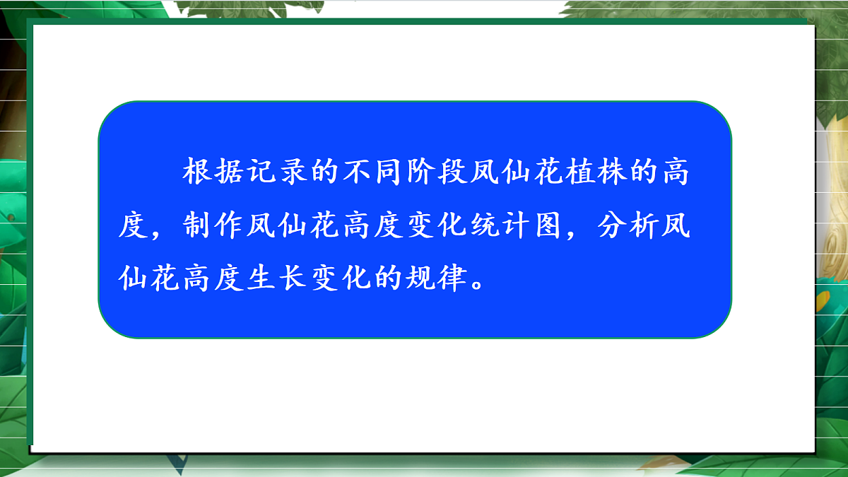 1.8《凤仙花的一生》教学课件第8页
