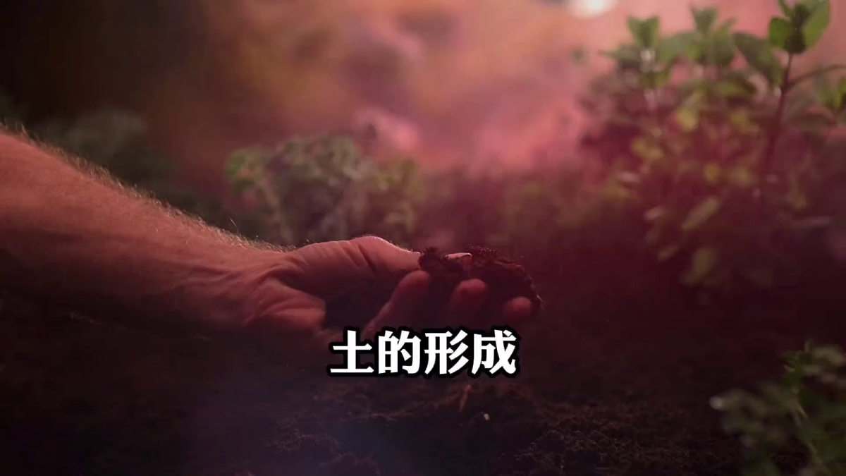 3.1《岩石与土壤的故事》教学课件第5页