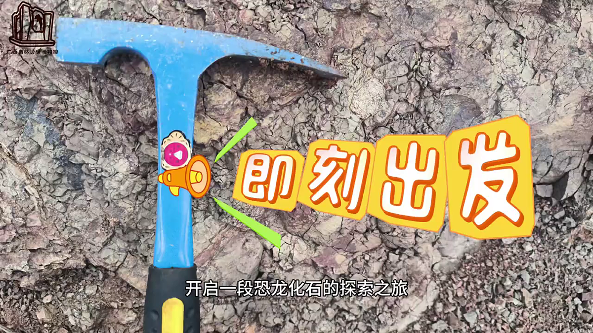 1.2《挖掘恐龙“化石”》教学课件第3页