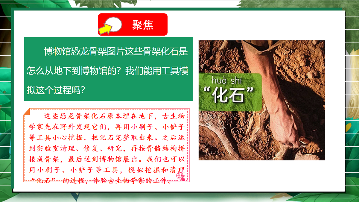 1.2《挖掘恐龙“化石”》教学课件第5页