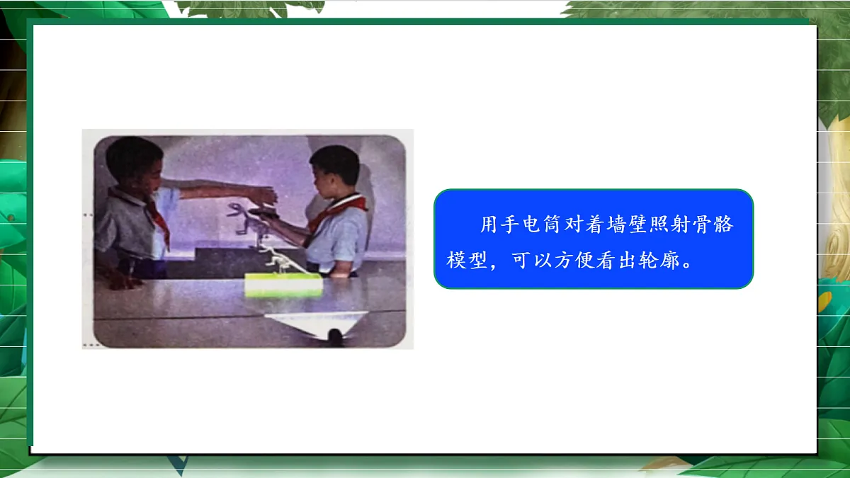 1.5《复原恐龙》教学课件第8页