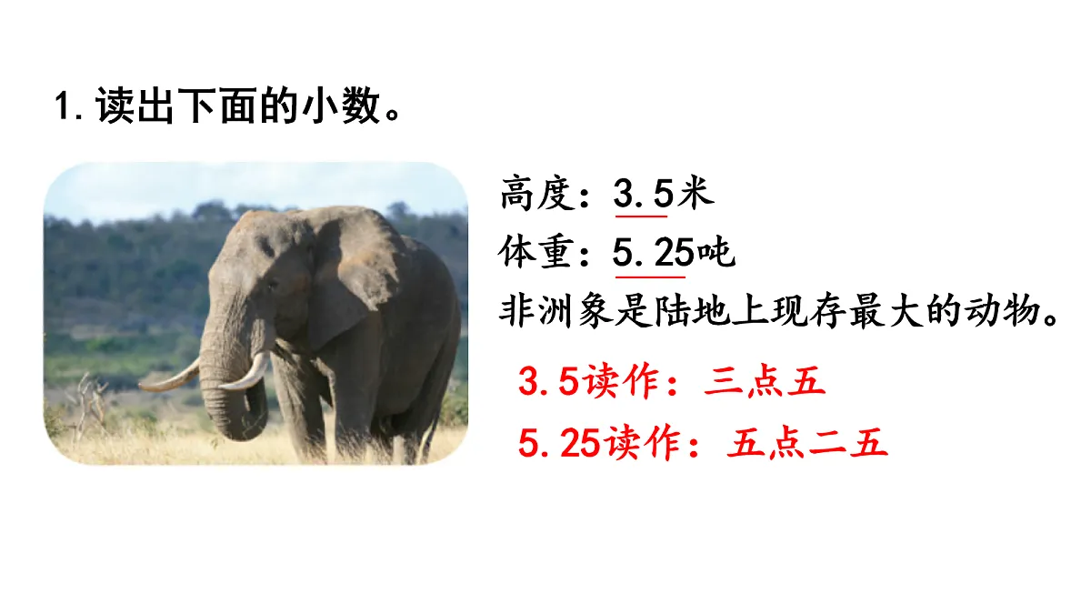 18019205第2页