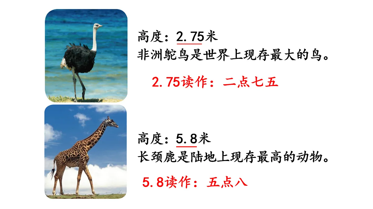 18019205第3页
