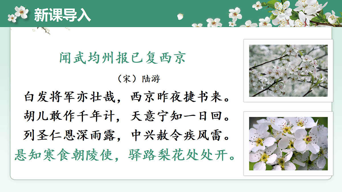 18019593第3页
