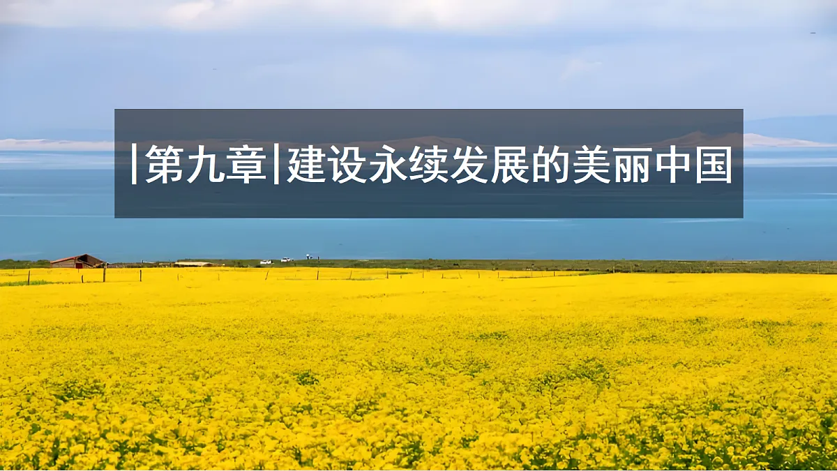 18020015第1页