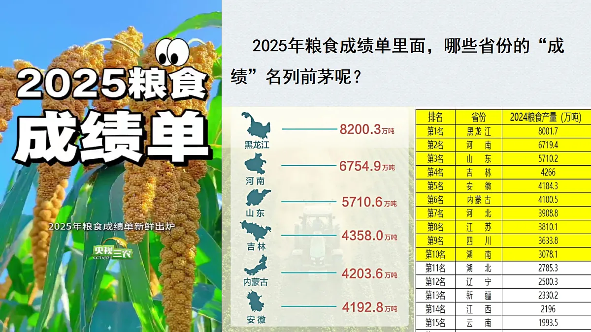 18020046第1页