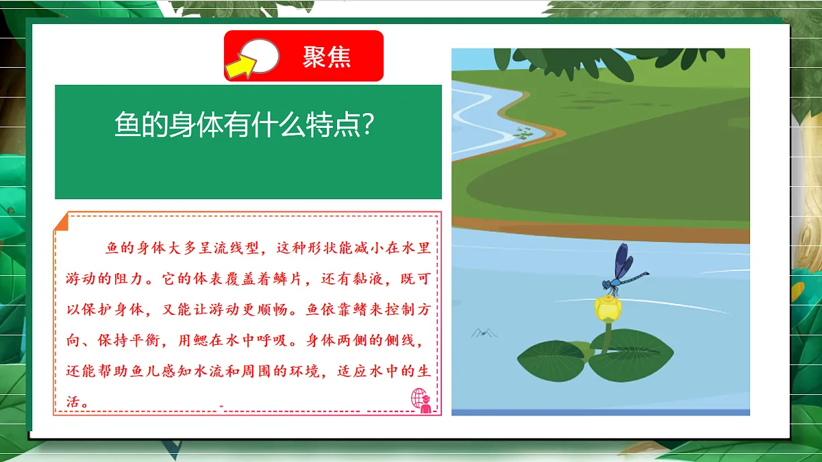 2.4《水中的动物》教学课件第5页