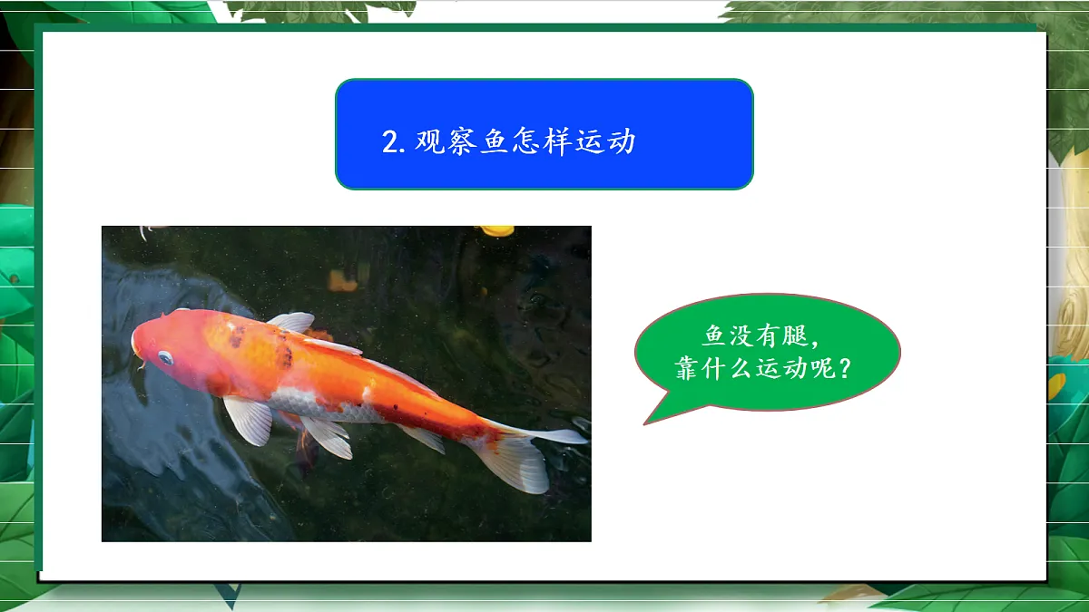 2.4《水中的动物》教学课件第8页