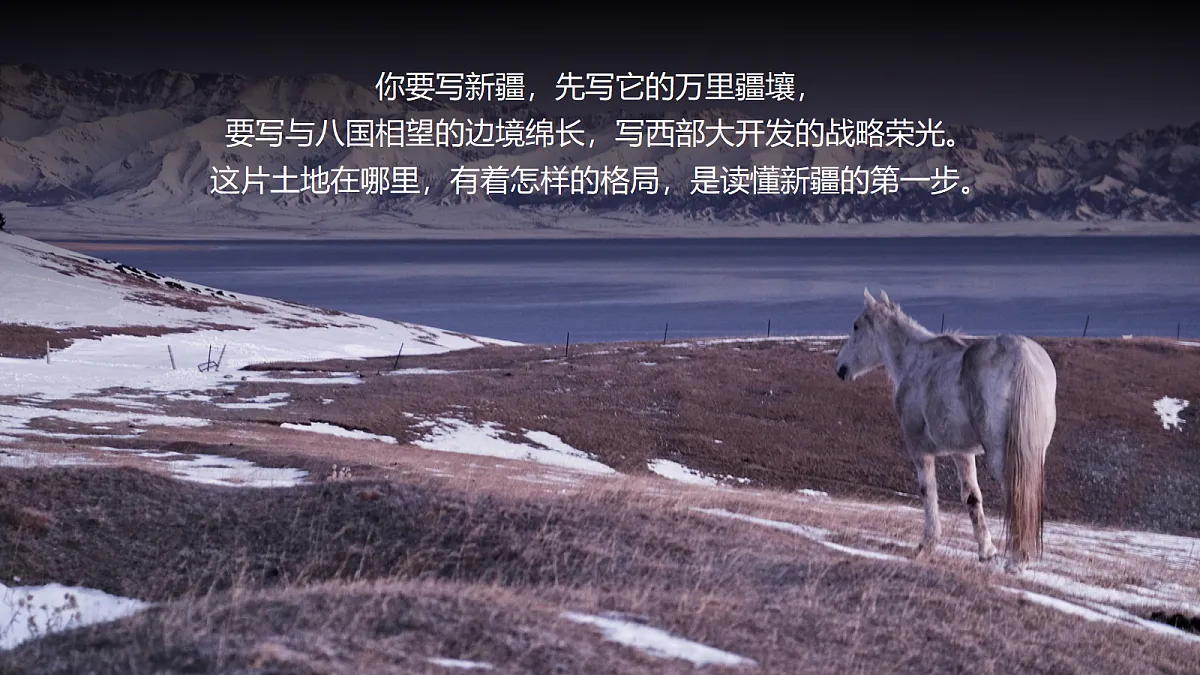 18020488第6页