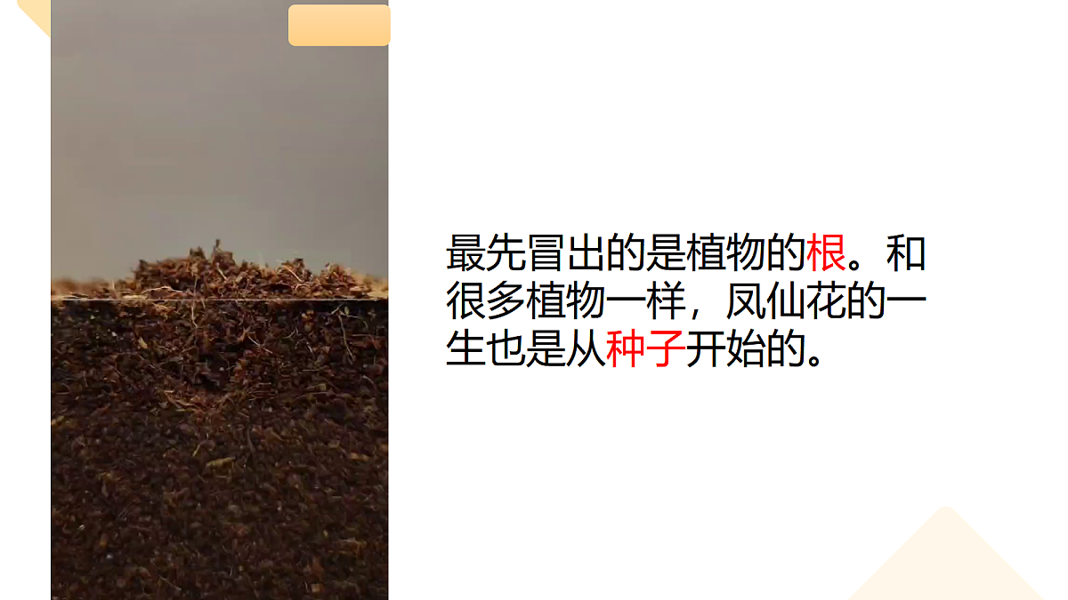 18020918第3页