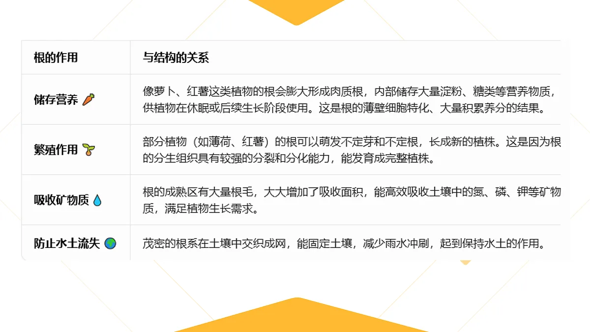 18020919第7页