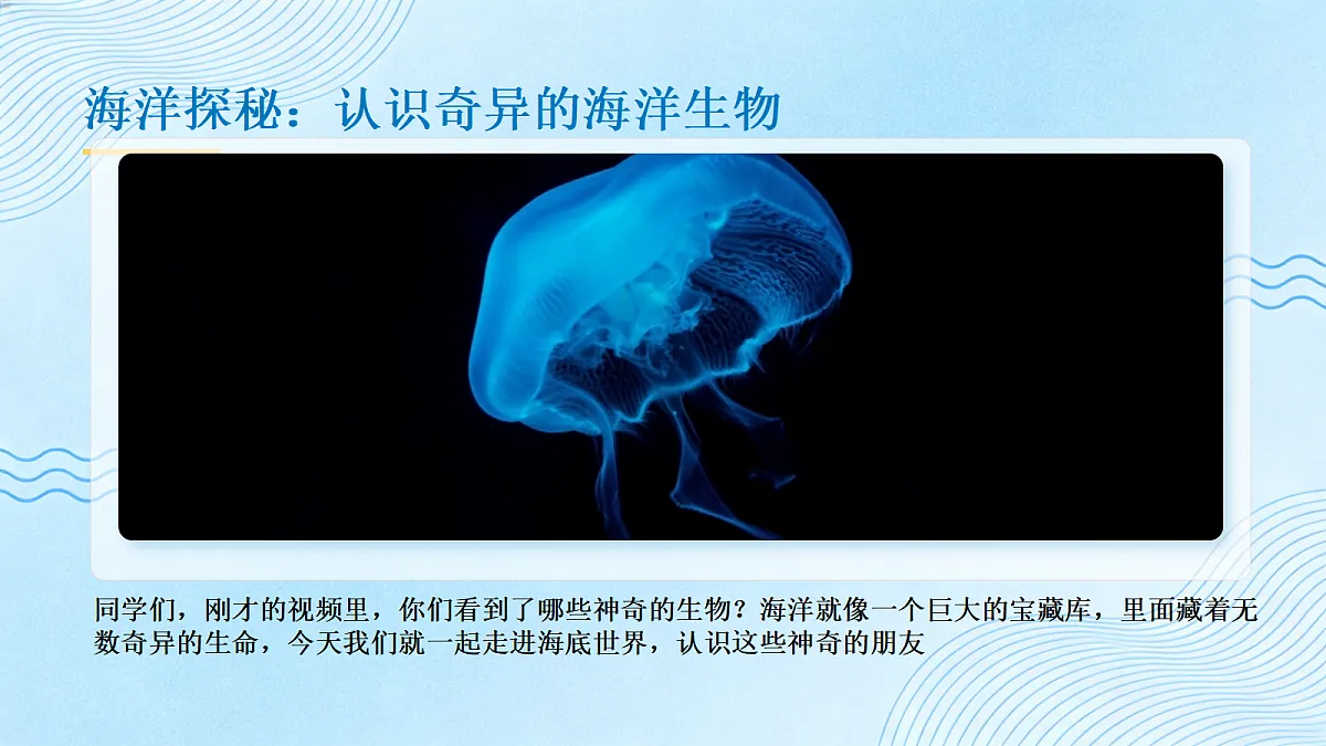 《奇异的海洋生物》教学课件第4页