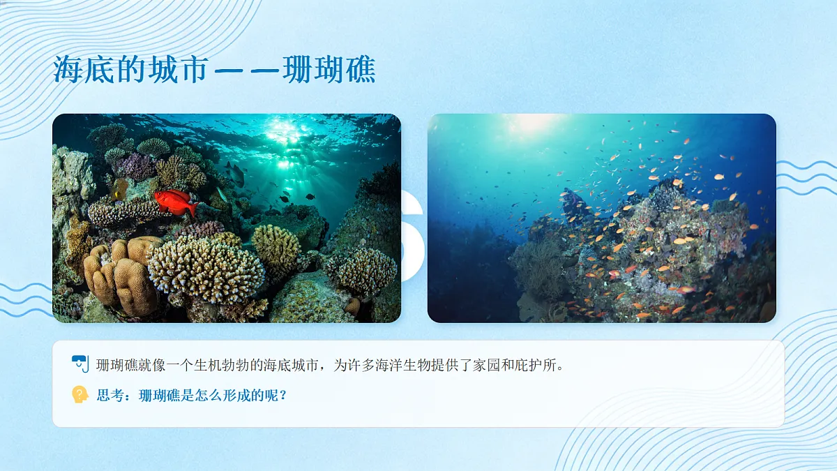 《奇异的海洋生物》教学课件第6页