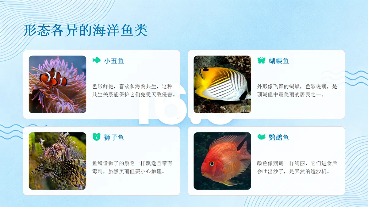 《奇异的海洋生物》教学课件第7页