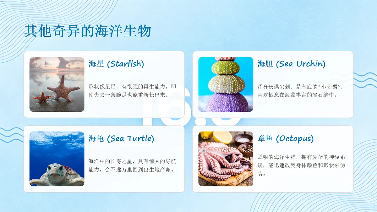 《奇异的海洋生物》教学课件第8页