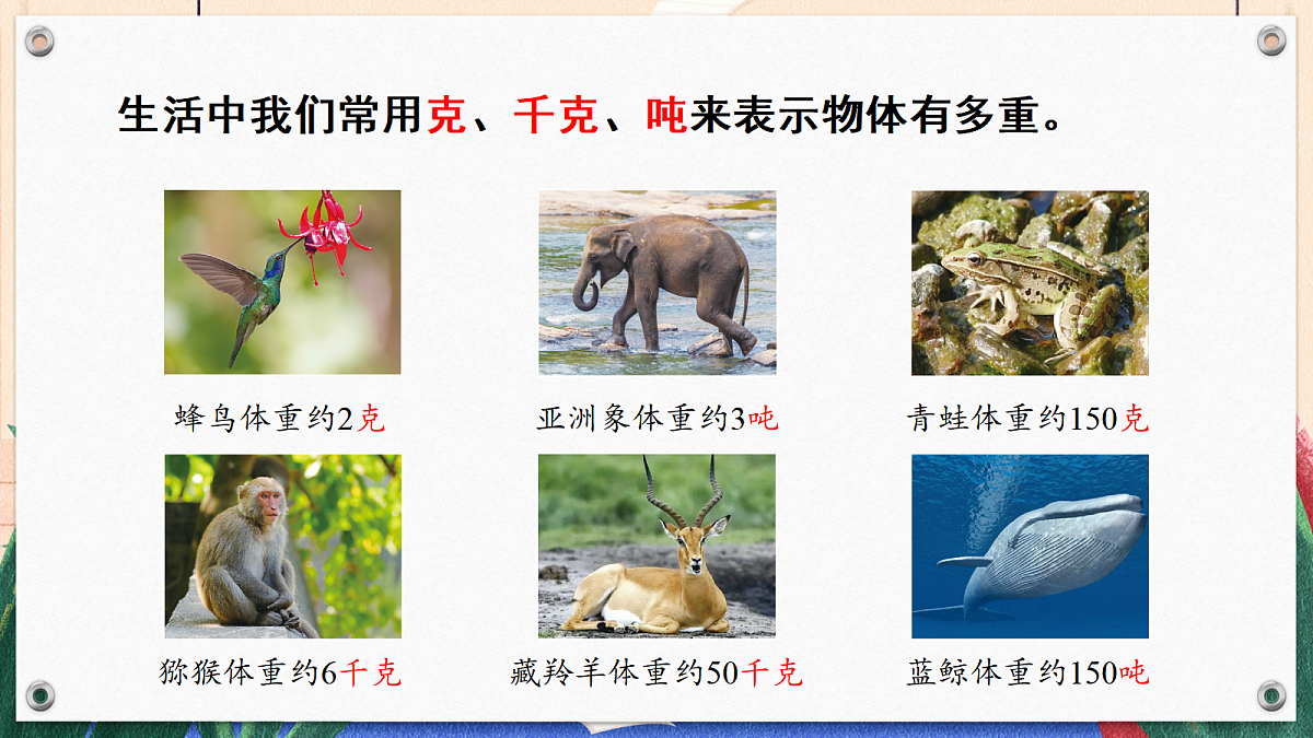综合实践 制作动物体重“说明书”第5页