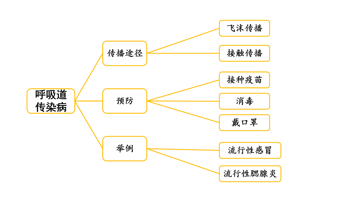18021433第5页