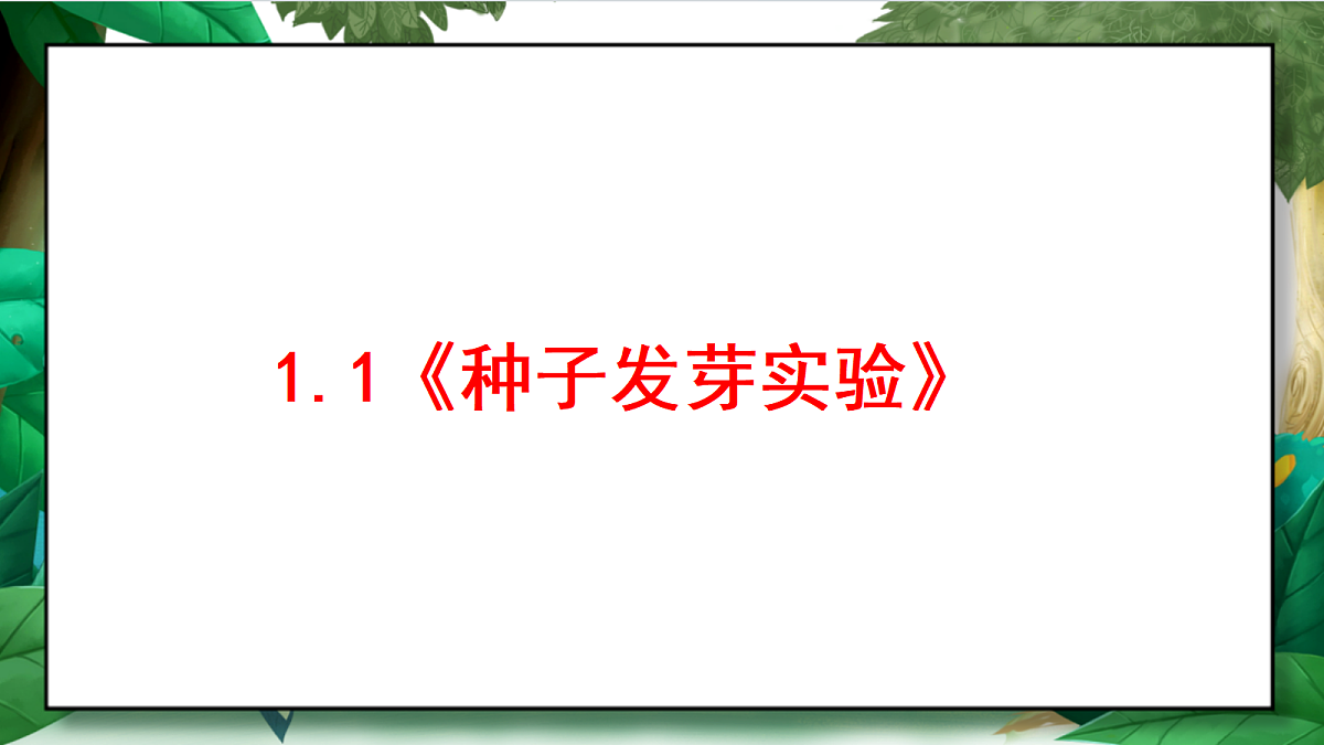 1.1《种子发芽实验》教学课件第2页