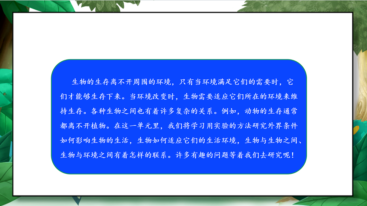 1.1《种子发芽实验》教学课件第4页