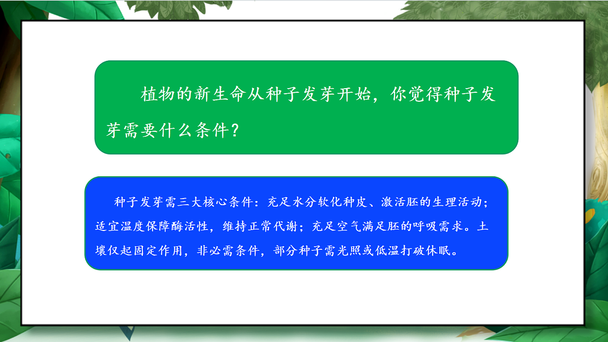 1.1《种子发芽实验》教学课件第6页