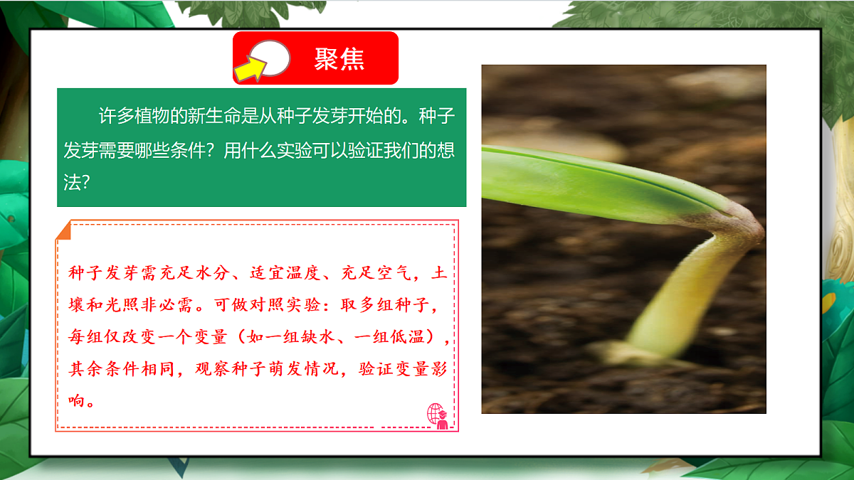 1.1《种子发芽实验》教学课件第7页