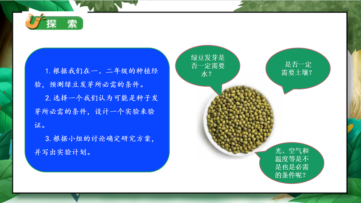 1.1《种子发芽实验》教学课件第8页