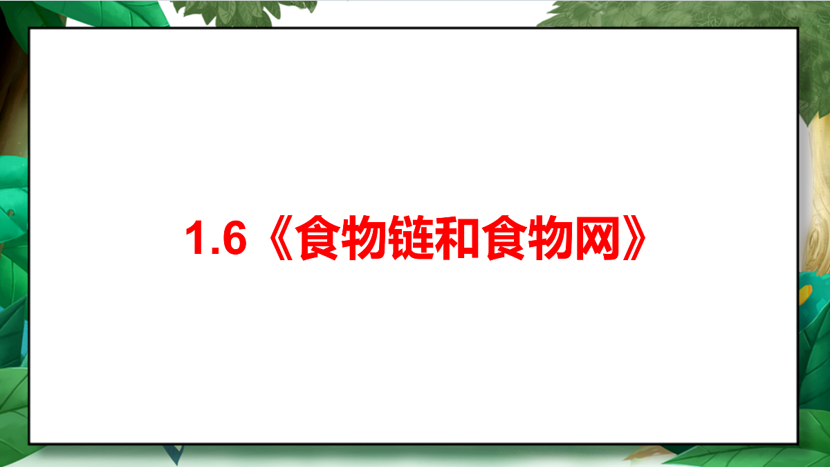 1.6《食物链和食物网》教学课件第2页