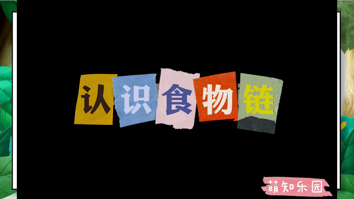 1.6《食物链和食物网》教学课件第3页