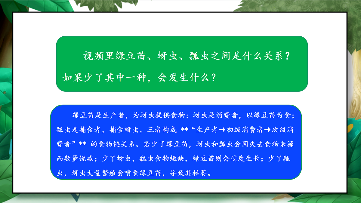 1.6《食物链和食物网》教学课件第4页