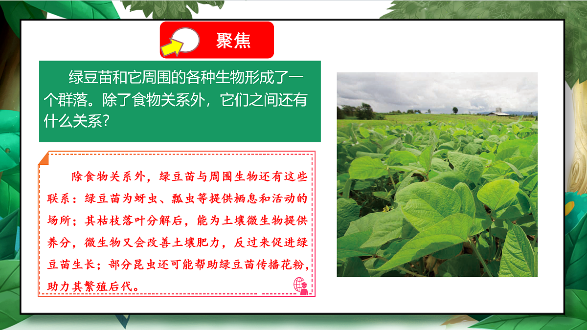 1.7《设计和制作生态瓶》教学课件第5页