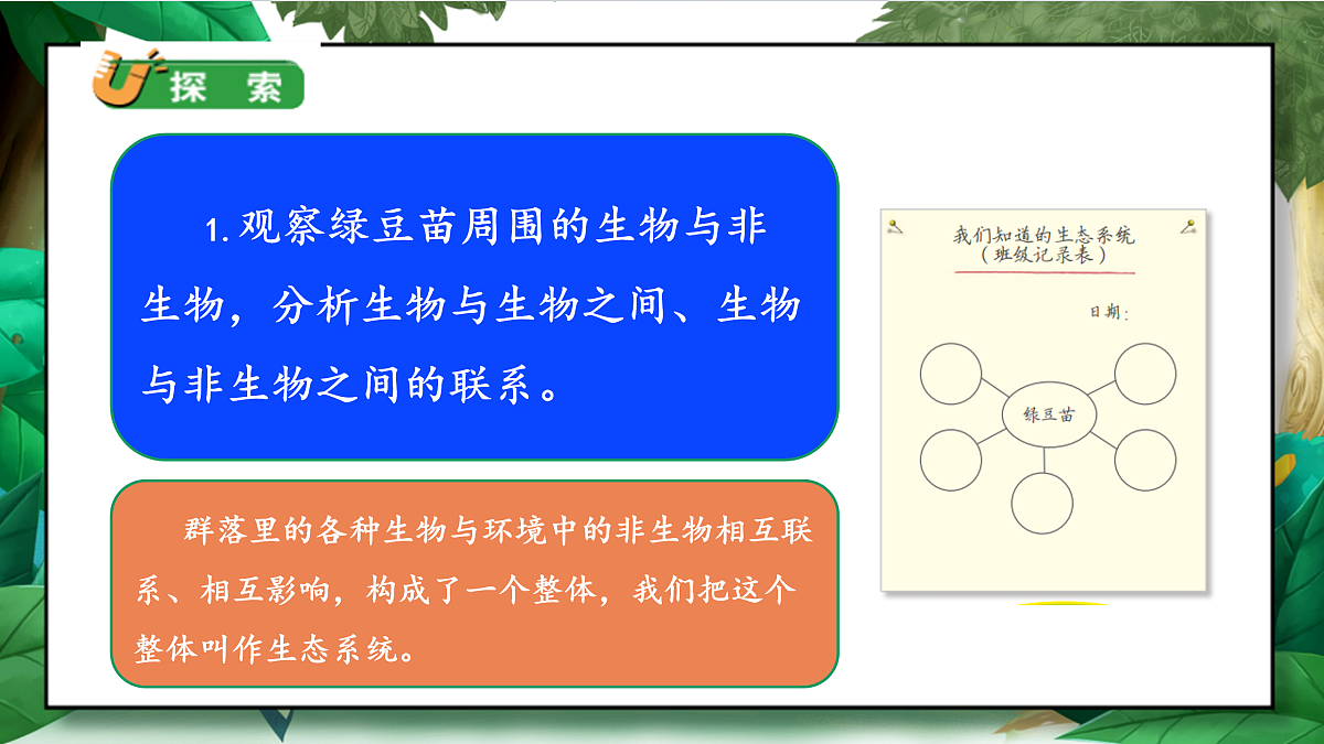 1.7《设计和制作生态瓶》教学课件第6页