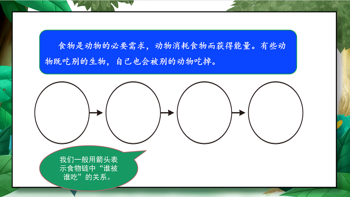 1.7《设计和制作生态瓶》教学课件第7页