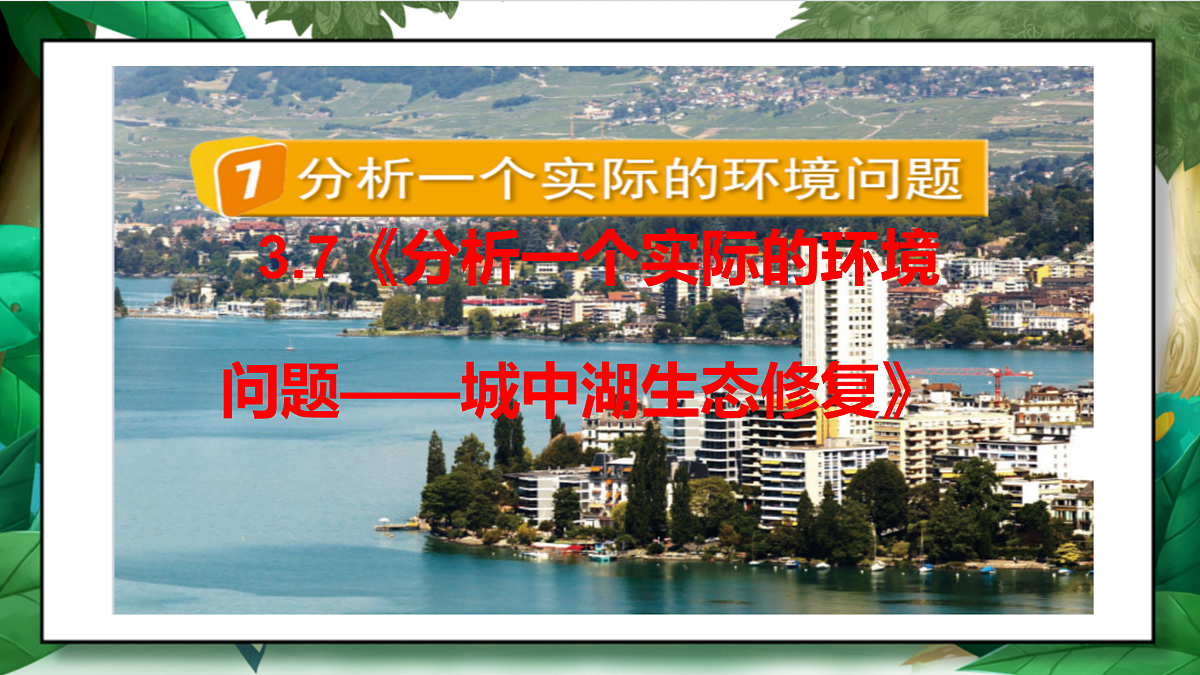 3.7《分析一个实际的环境问题——城中湖生态修复》教学课件第2页